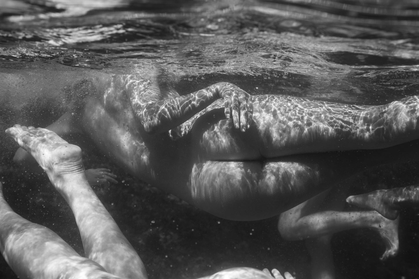 SELKIES PLAYGROUND